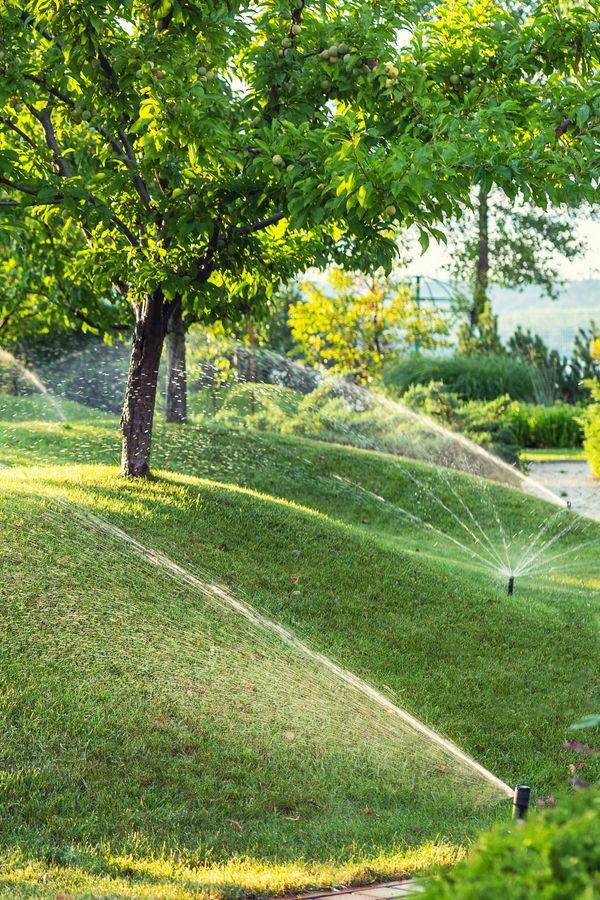 Choisir un système d'arrosage qui s'adapte à votre jardin sur le Bassin d'Arcachon  par Les Paysages d'Antoine - Les Paysages d'Antoine